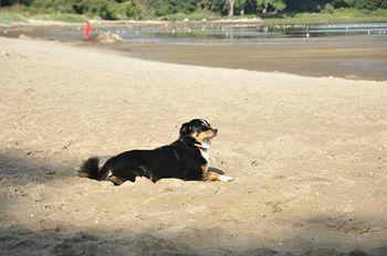 - Urlaub An Der Ostsee Hotel 3*